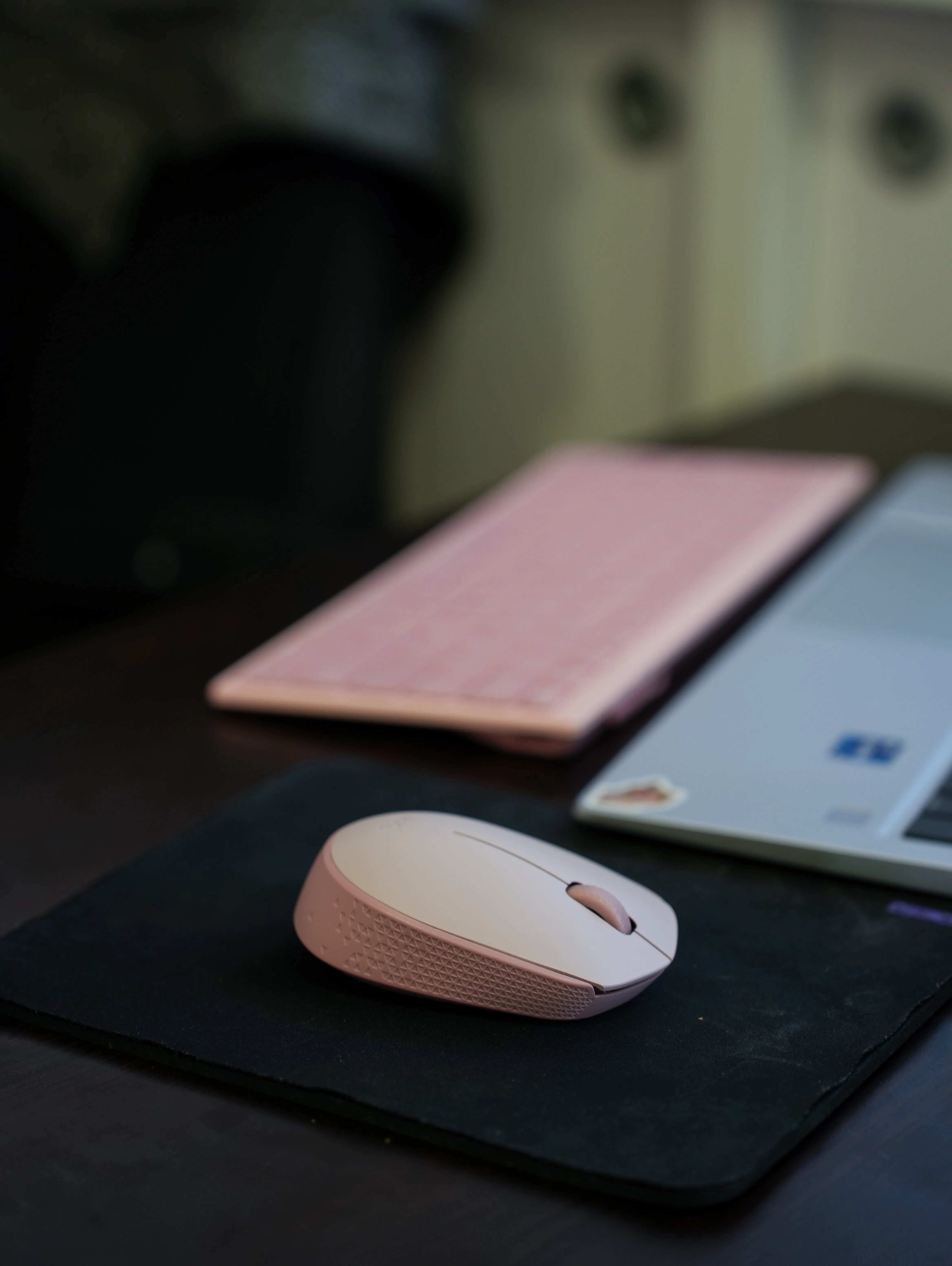 DSC06018.jpg